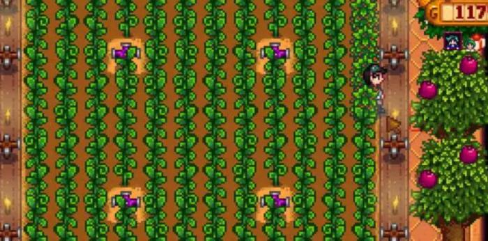 星露谷物语种什么升级快3