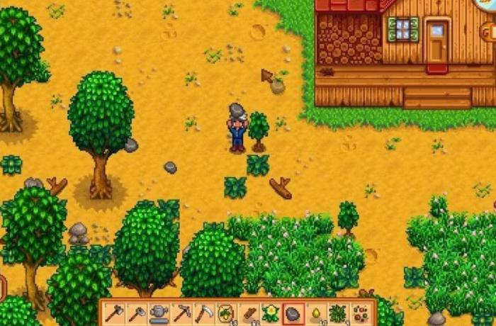 星露谷物语新手怎么玩2