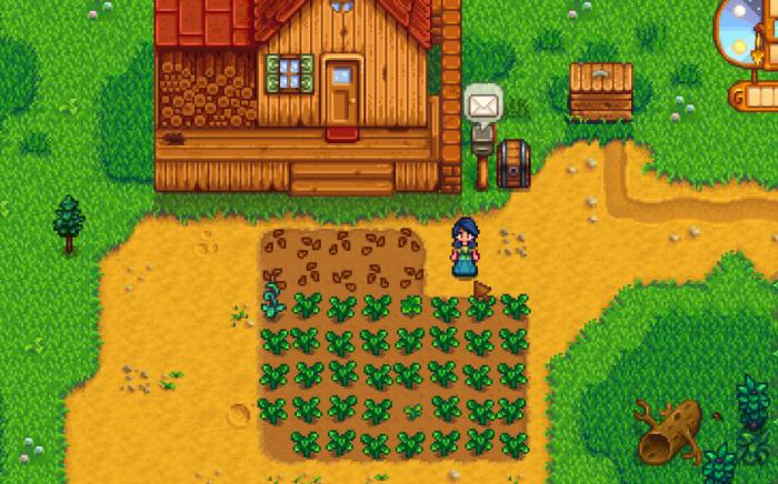 星露谷物语海莉房间在哪2