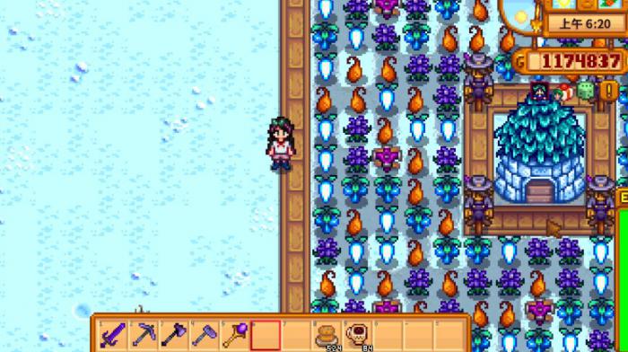 星露谷物语法师好感度怎么刷3