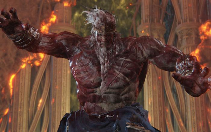 艾尔登法环战士是什么职业2