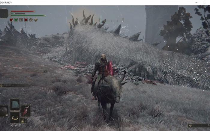 艾尔登法环白龙怎么治愈3