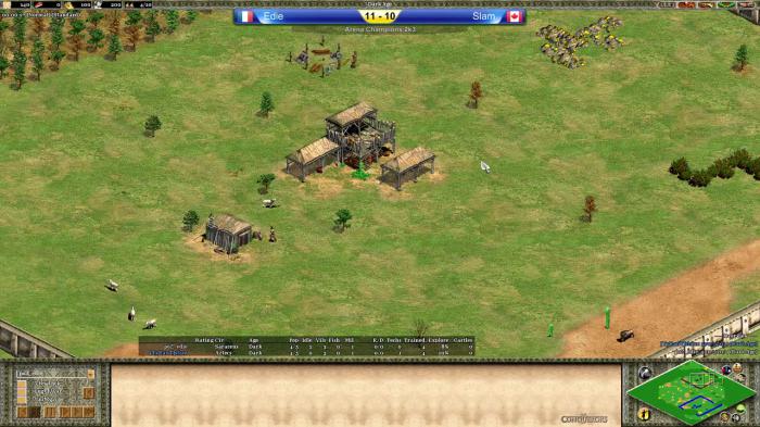 帝国时代2击败波兰怎么玩3