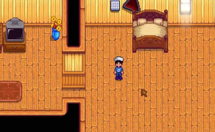 星露谷物语海莉一般在哪1