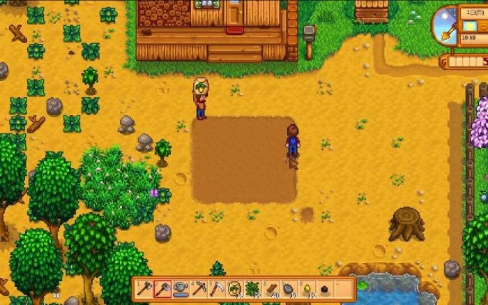 星露谷物语怎么本地双人1