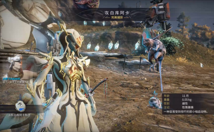 星际战甲地球声望换什么2