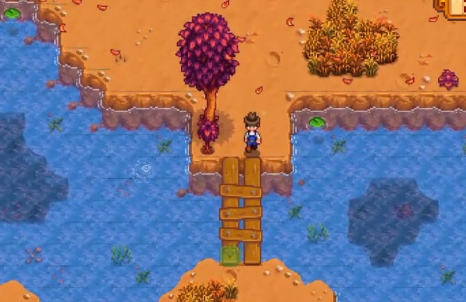 星露谷物语海莉在哪里拍照1