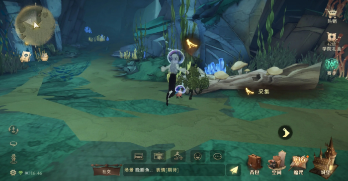 哈利波特魔法觉醒水陆植物怎么采集1