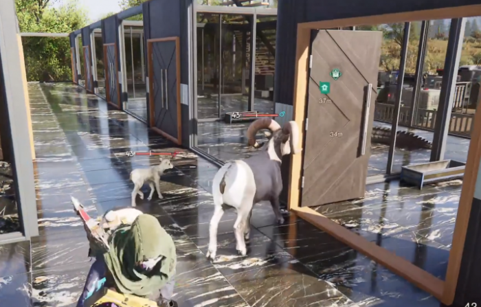 七日世界如何养殖动物2