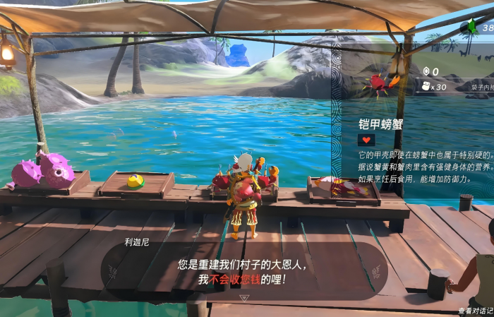 王国之泪沃托里村可以干嘛3