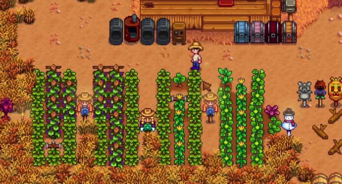 星露谷物语秋天种什么最值钱1