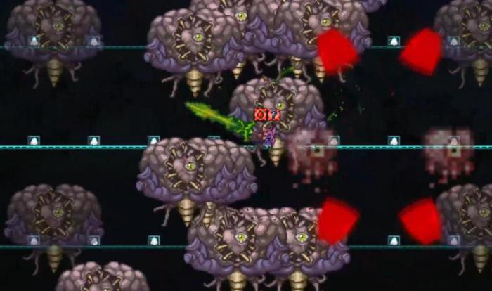 泰拉瑞亚克苏鲁之脑怎么召唤1