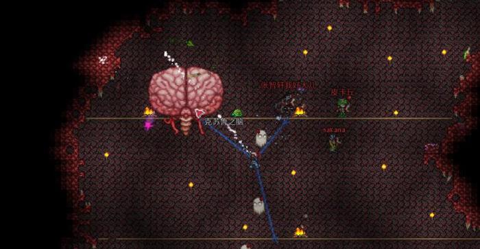 泰拉瑞亚克苏鲁之脑怎么召唤2