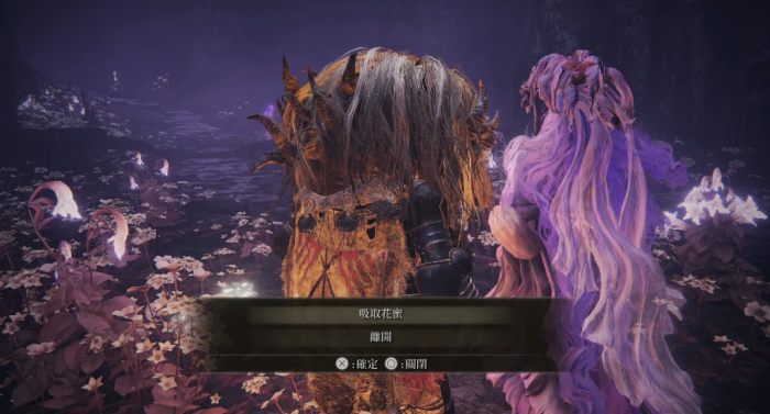 艾尔登法环托莉娜和丹恩支线怎么做3