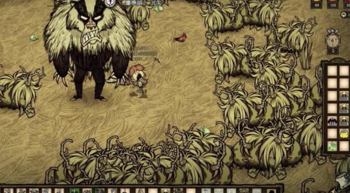 饥荒草鳄鱼怎么圈养1