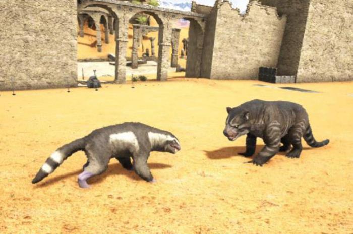 方舟生存进化袋狮怎么驯服3