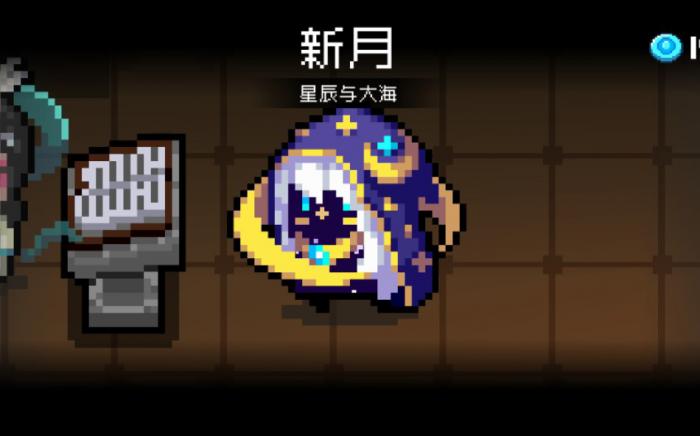 元气骑士哪个皮肤最稀有2