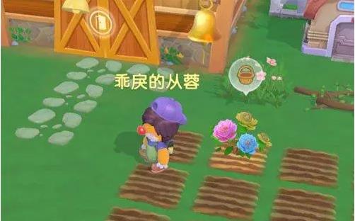 摩尔庄园金鱼花怎么获得2