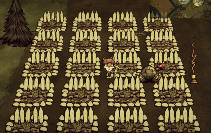 饥荒快速入门攻略是什么2