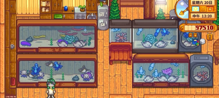 星露谷物语鱼缸有什么用3