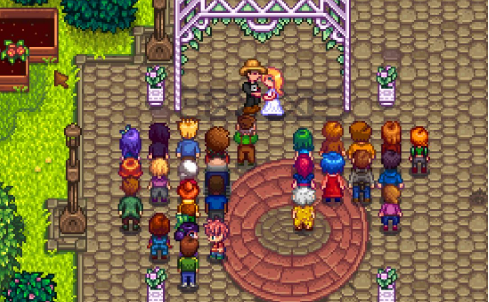 星露谷物语海莉十心怎么结婚2