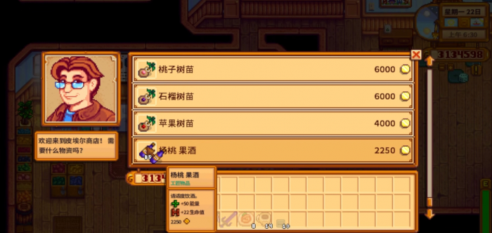 星露谷物语皮埃尔最爱什么礼物3