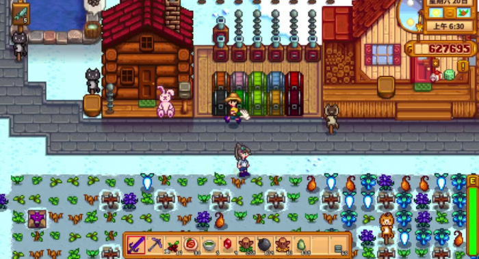 星露谷物语怎么养鸡3