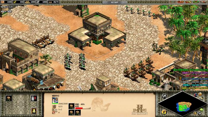 帝国时代2对战技巧有哪些1