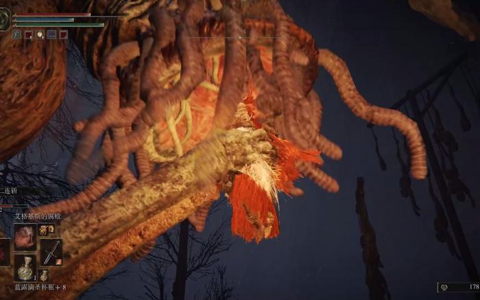 艾尔登法环陆生海鞘怎么打1