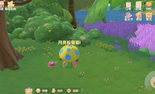 摩尔庄园怎么饲养超级拉姆2