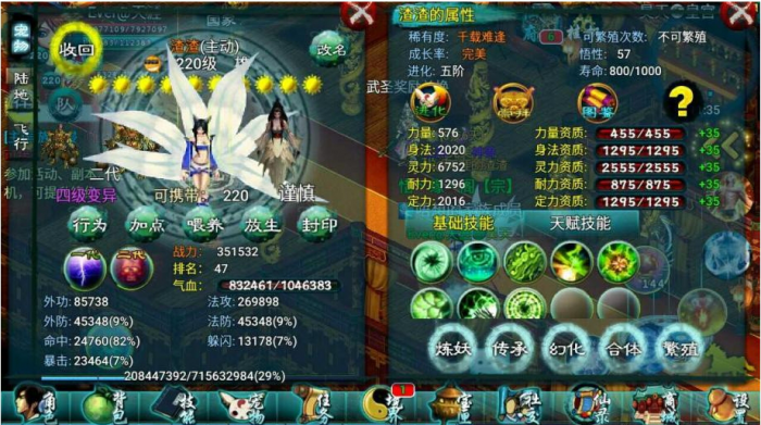 忘仙谨慎宠物怎么加点1