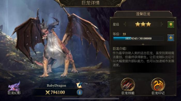 阿瓦隆之王龙魂哪个职业好1