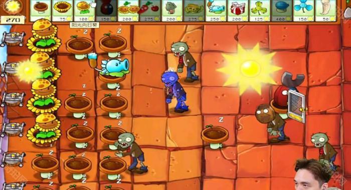 《植物大战僵尸杂交版》冒险模式第45关通关攻略3