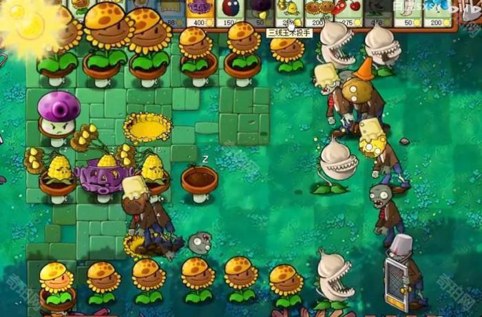 《植物大战僵尸杂交版》挑战模式第48关通关攻略3