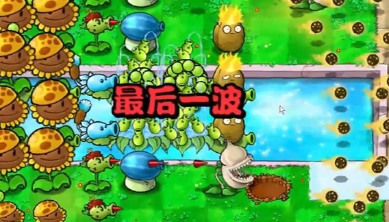《植物大战僵尸杂交版》冒险模式第14关通关攻略6