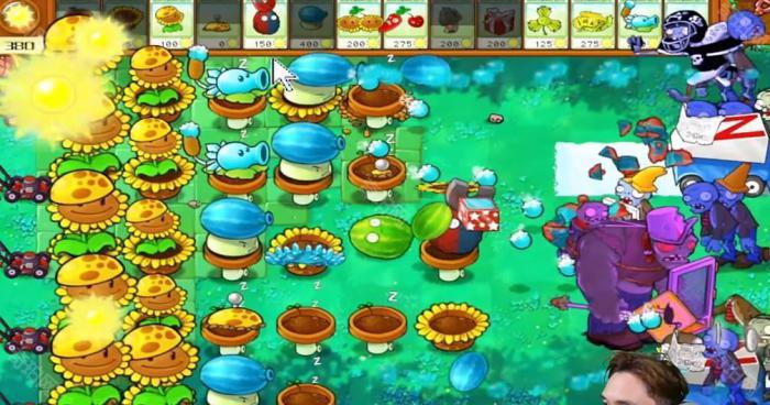 《植物大战僵尸杂交版》冒险模式第35关通关攻略5