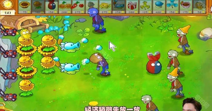 《植物大战僵尸杂交版》冒险模式第51关通关攻略3