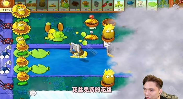 《植物大战僵尸杂交版》冒险模式第21关通关攻略3