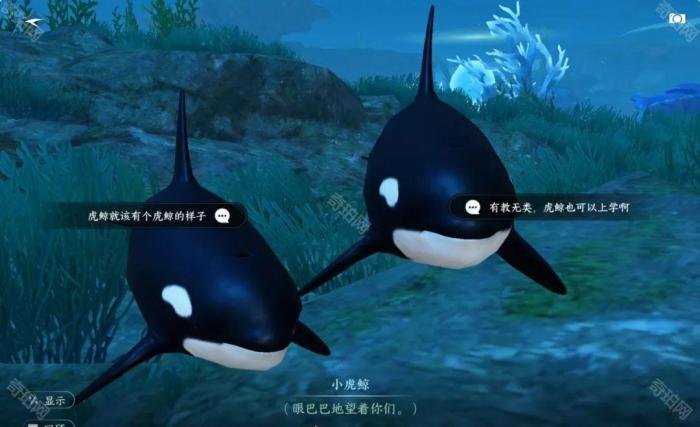 《逆水寒手游》2.3.1版本28个澜都人间任务攻略汇总9