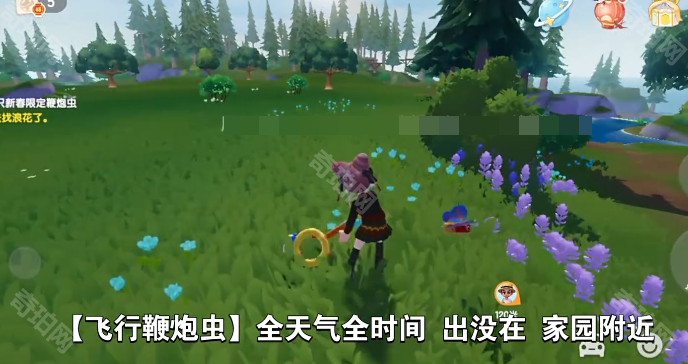 《心动小镇》新春鞭炮虫捕捉位置一览6