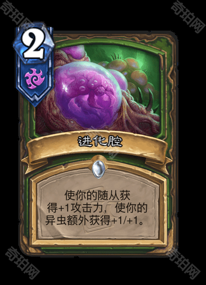 《炉石传说》星际争霸联动卡牌一览10