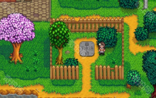 《星露谷物语》科罗布斯位置介绍3