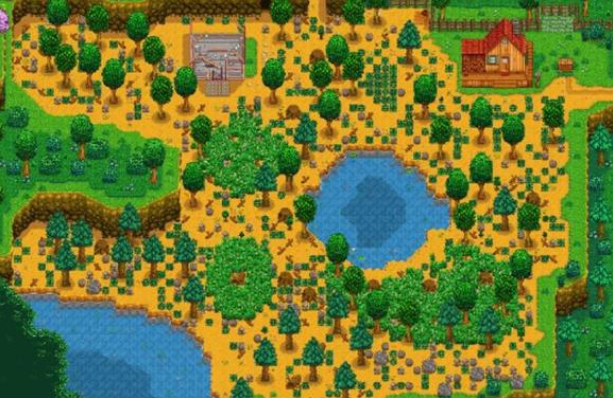 星露谷物语农场哪个好4