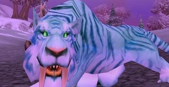 魔兽世界wlk猎人宝宝哪个好3