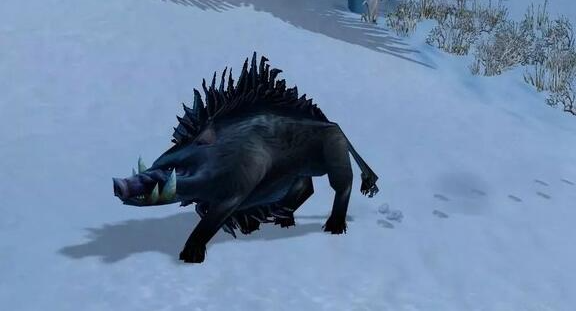 魔兽世界wlk猎人宝宝哪个好5