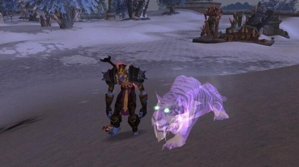 魔兽世界wlk猎人宝宝哪个好6