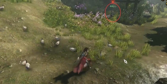 逆水寒手游甄选之鸭奇遇怎么做6