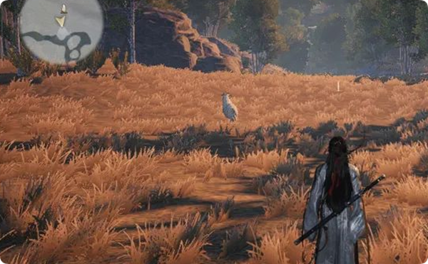 燕云十六声怎么无限刷脂尾羊1