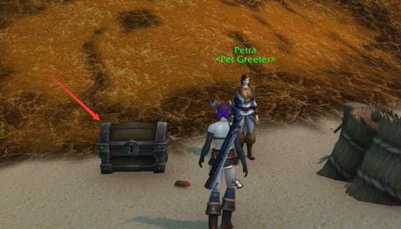 魔兽世界宠物伪装器在哪3