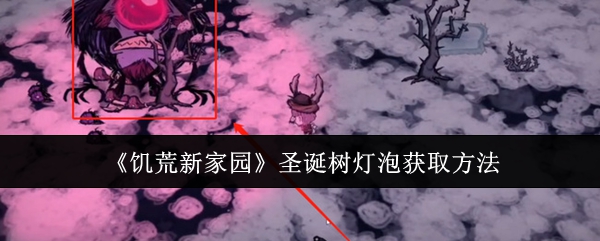 饥荒新家园圣诞树灯泡怎么获取1